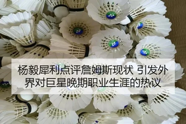 杨毅犀利点评詹姆斯现状 引发外界对巨星晚期职业生涯的热议