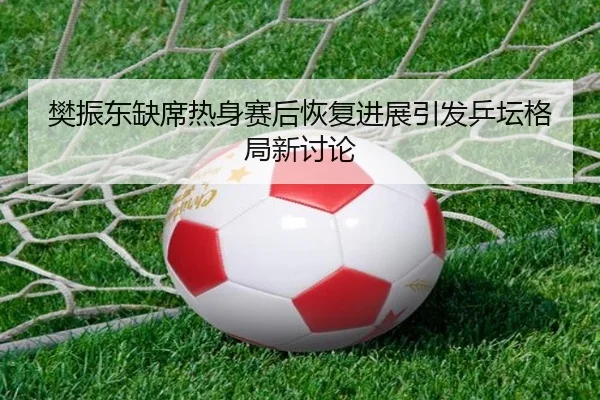 樊振东缺席热身赛后恢复进展引发乒坛格局新讨论